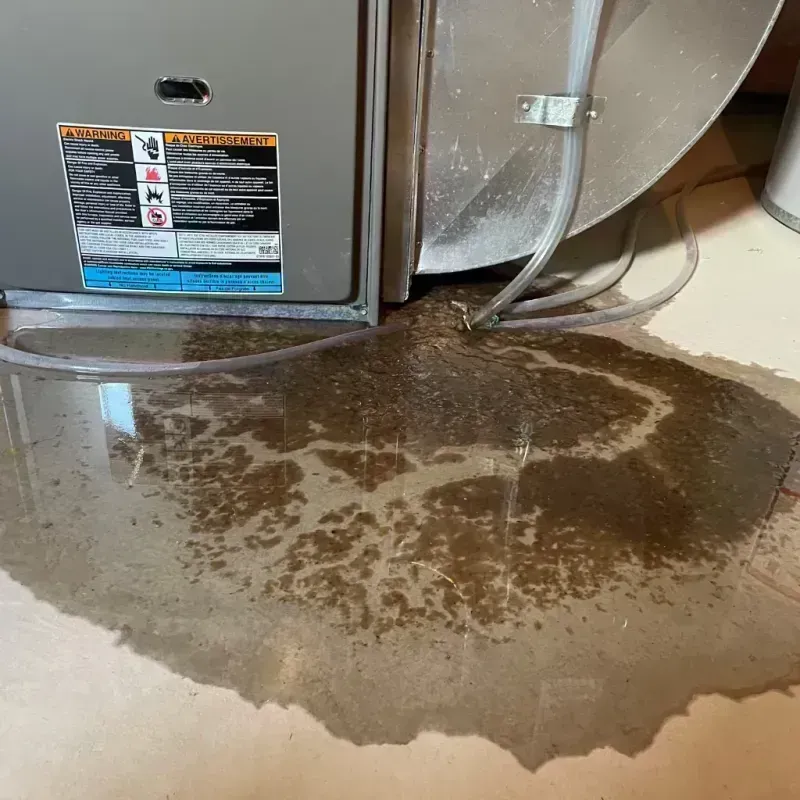 Appliance Leak Cleanup in Peach Springs, AZ